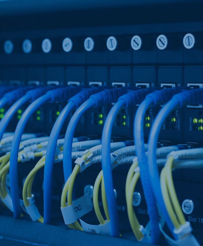 proven Cat6 ethernet cable installers